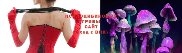 ПСИЛОЦИБИНОВЫЕ ГРИБЫ Болотное