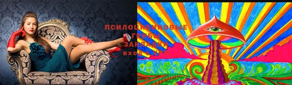 марки lsd Бородино