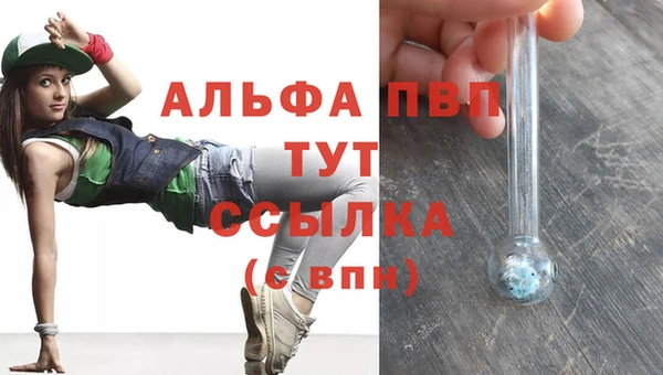 ПСИЛОЦИБИНОВЫЕ ГРИБЫ Верхний Тагил