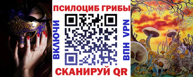 хочу Видное Галлюциногенные грибы MAGIC MUSHROOMS