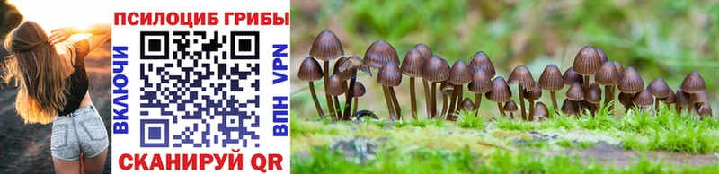 Псилоцибиновые грибы MAGIC MUSHROOMS Видное